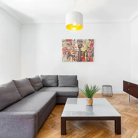 Grand Climatise Centre Daire Nice